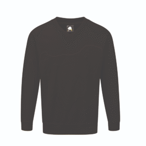 Buzzard V-Neck Sweatshirt